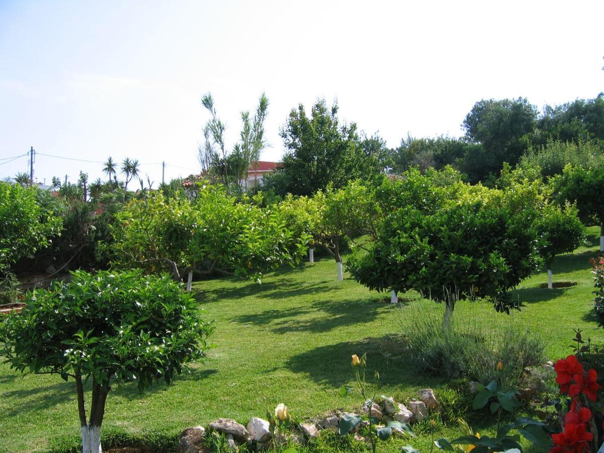 Tara Beach Hotel Skala  Esterno foto